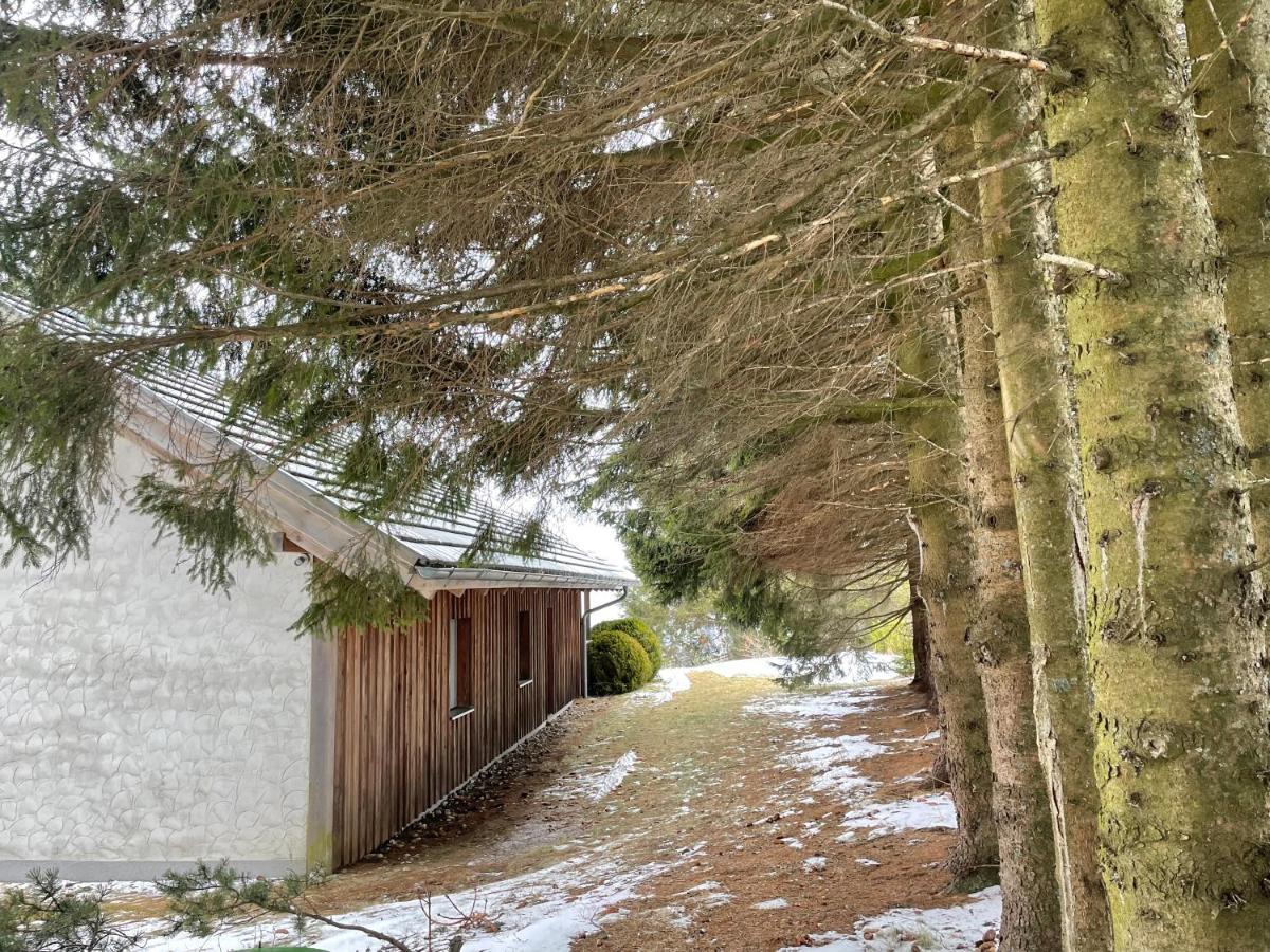 Teichalm Lodge Landhaus Фладниц ан дер Тайхалм Екстериор снимка